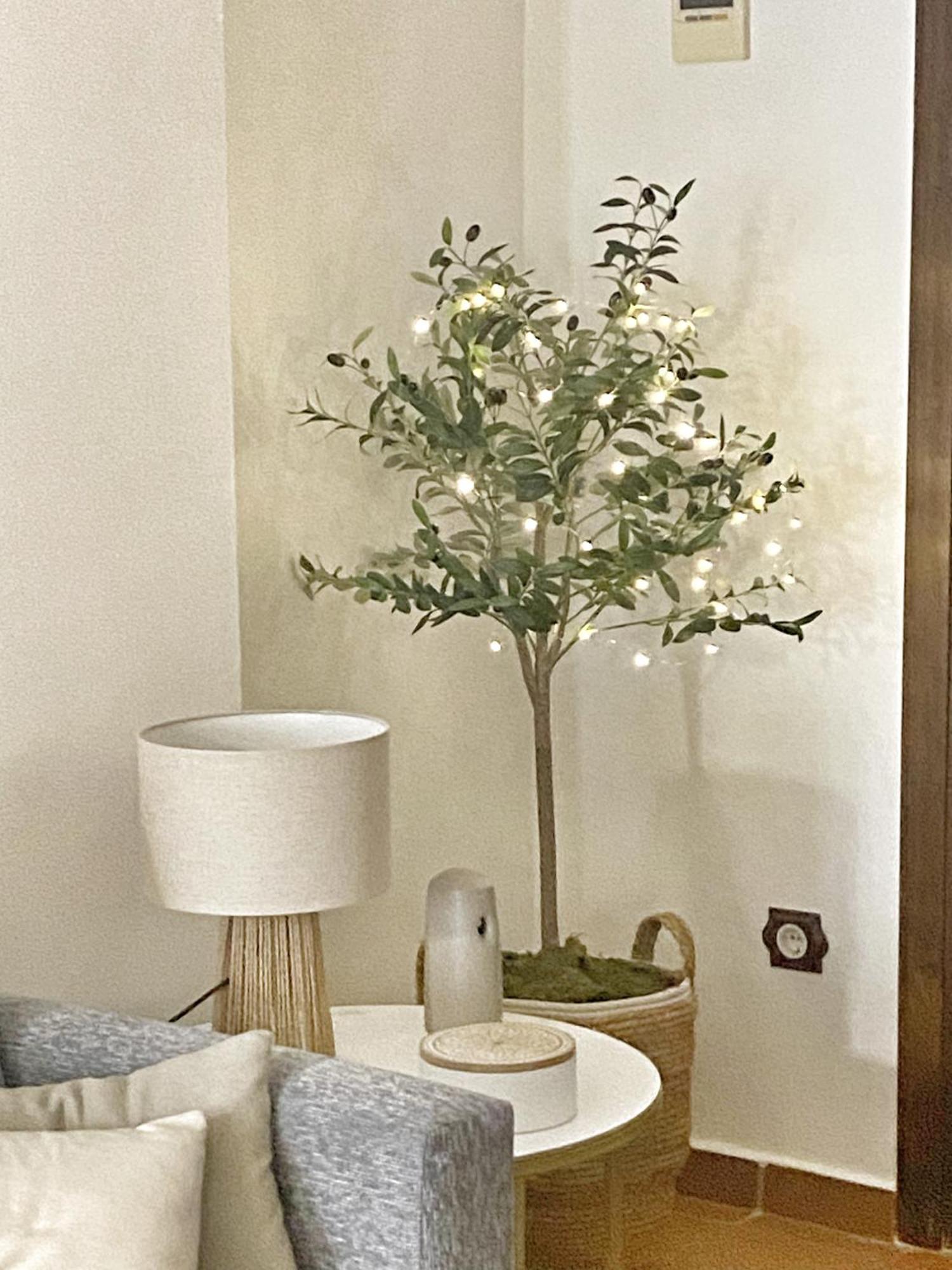 Appartement Santa Marina *